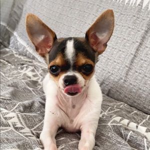 Meet your Posher, Sandra